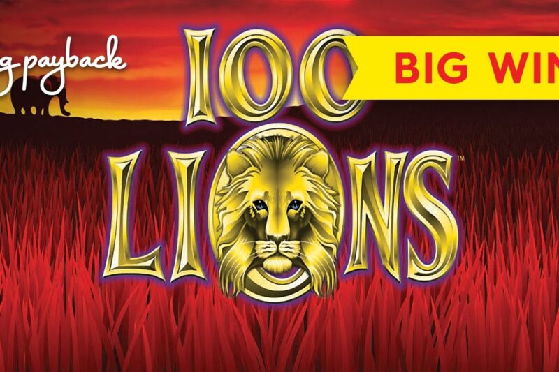 100 Lions: A Premier Network for Visionary Leaders